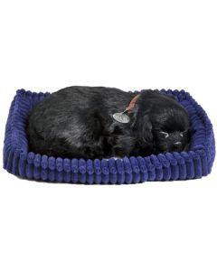 Perfect Petzzz soft Black Labrador-Kingtoys